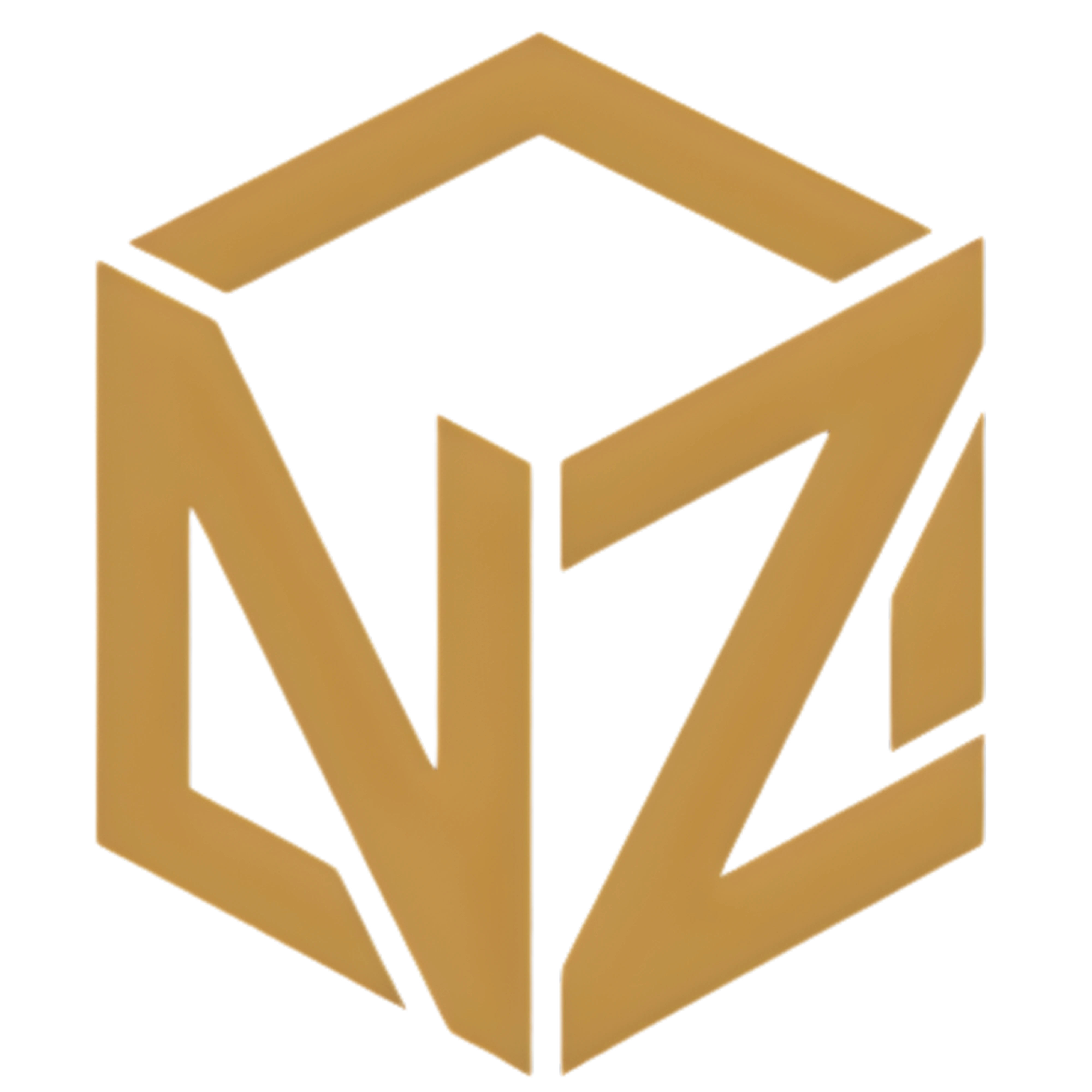 NZ Logo